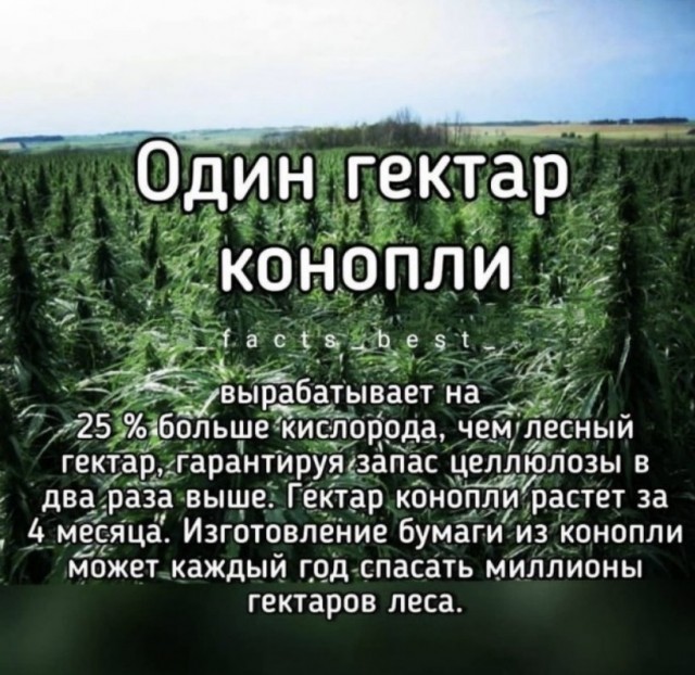 Всяческие картинки 29.11.2021