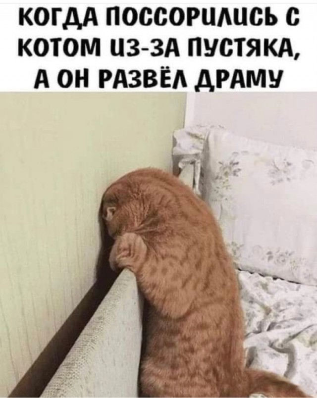Чуток картинок 04.03.22