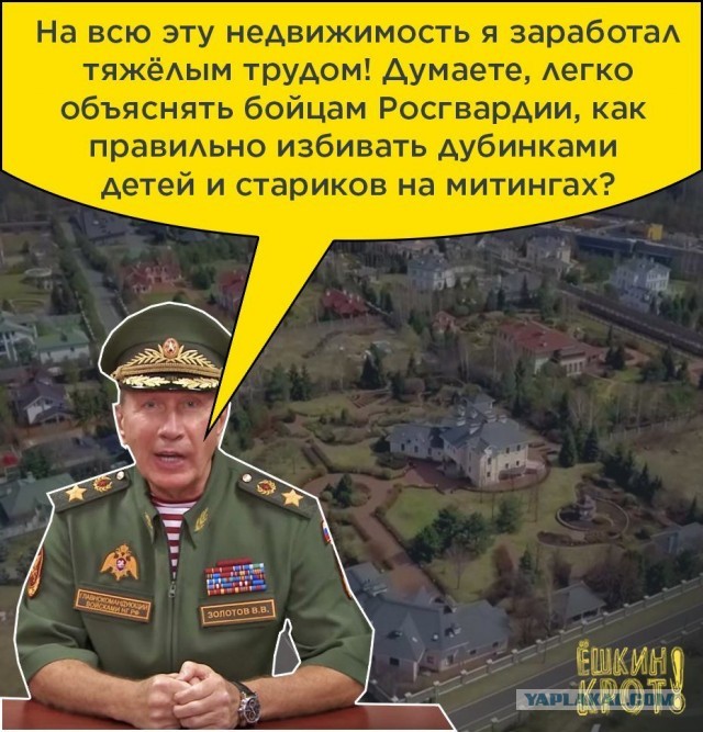 Золотов 1991г