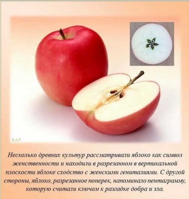 70 удивительных фактов