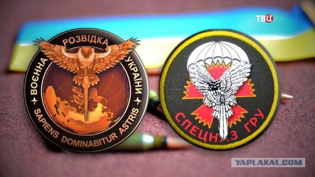 Матерого разведчика и диверсанта захватили бойцы чеченского спецподразделения.