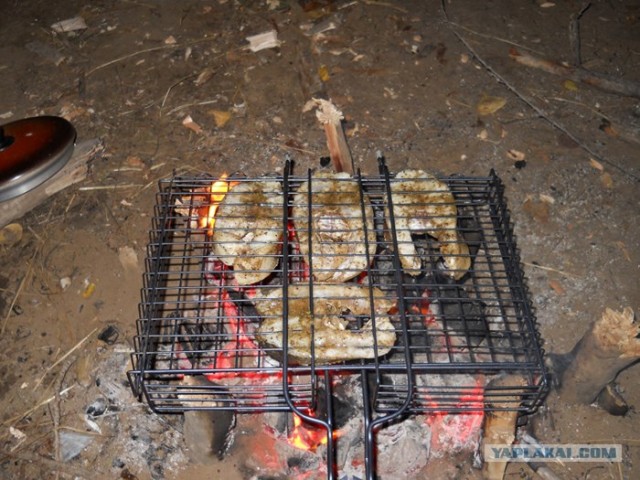 Рыбалка. Болхуны.