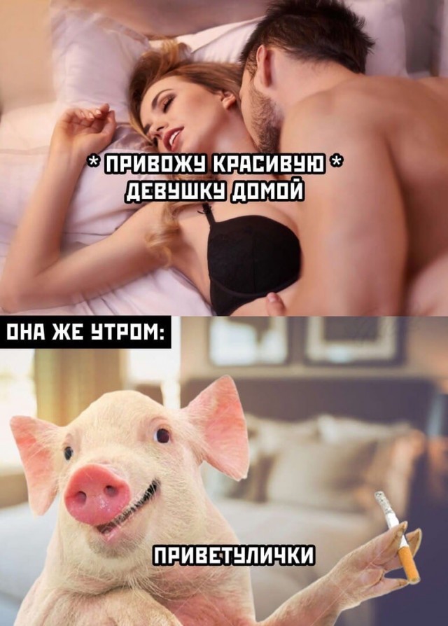 Чёрно-пошлая деградация на вторник