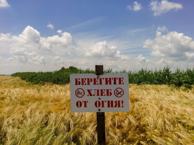 "А у них вот такая вот беда произошла"