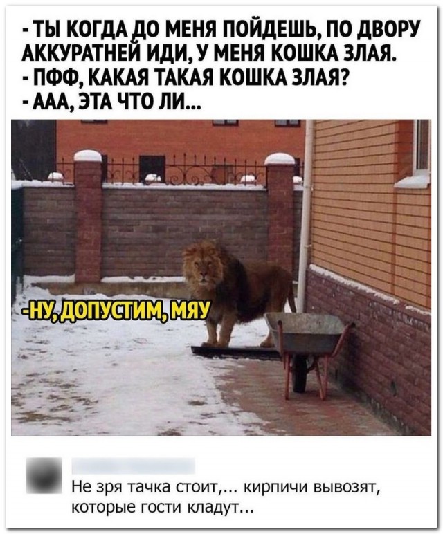 Скриншоты и комментарии из социальных сетей 10.09.22