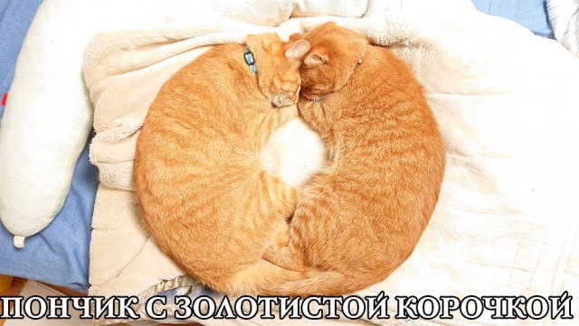 Немного картинок и прочей хреноты Vol. 19