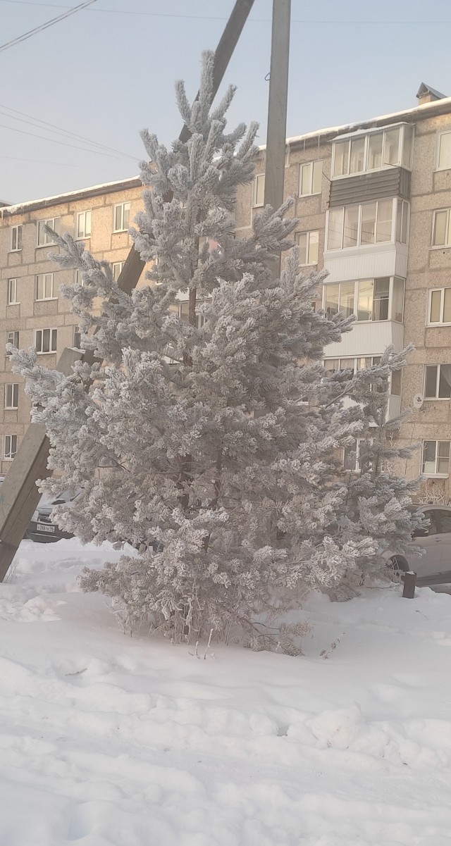 С Рождеством, православные!