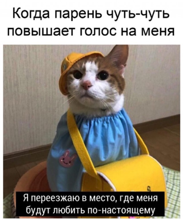 Немного картинок для настроения/постпраздничное