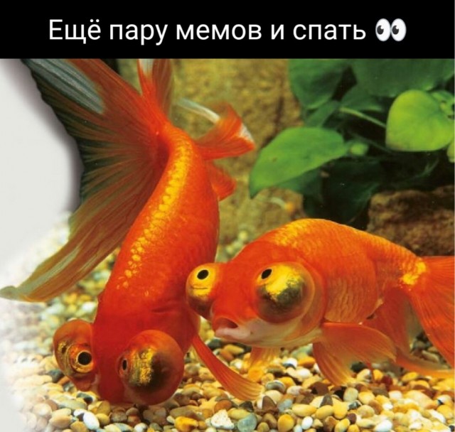 БесСистемная подборка 2