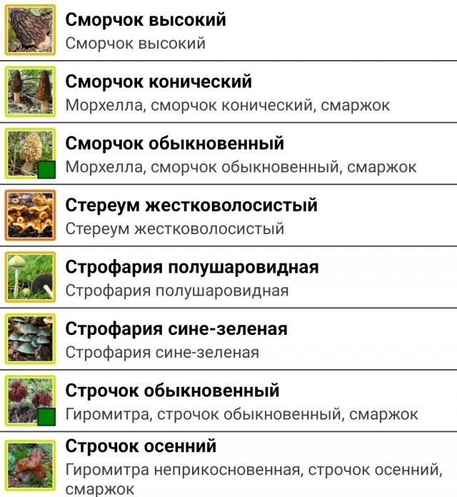 Строчки