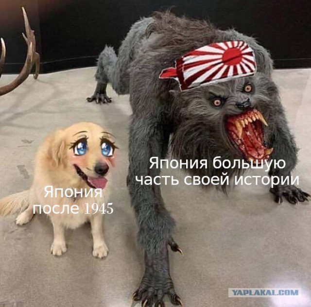 Как Япония не дает мужчинам лишиться девственности