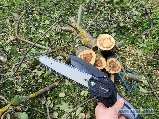 Хорошо в деревне летом