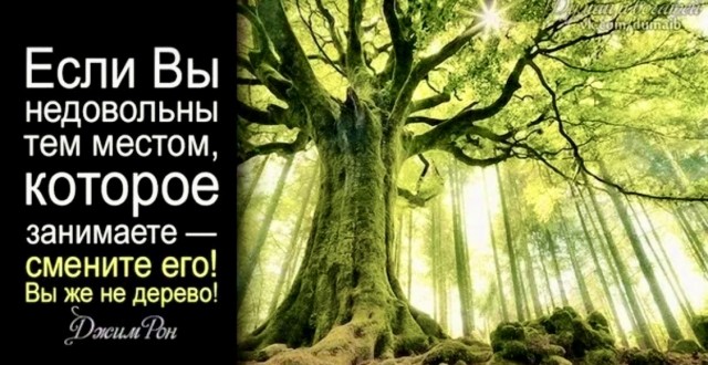 Демократия в опасности!