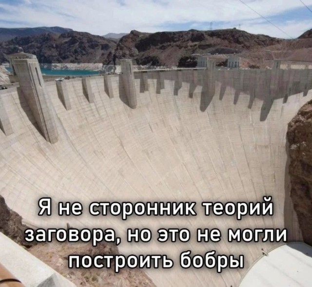 Приколы с налетом деградации