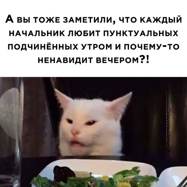 Весёлый полтишок 07.12.23