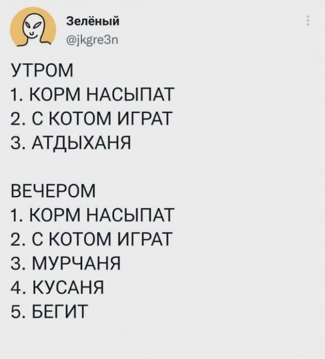Забавные комментарии из социальных сетей (25.12.23)