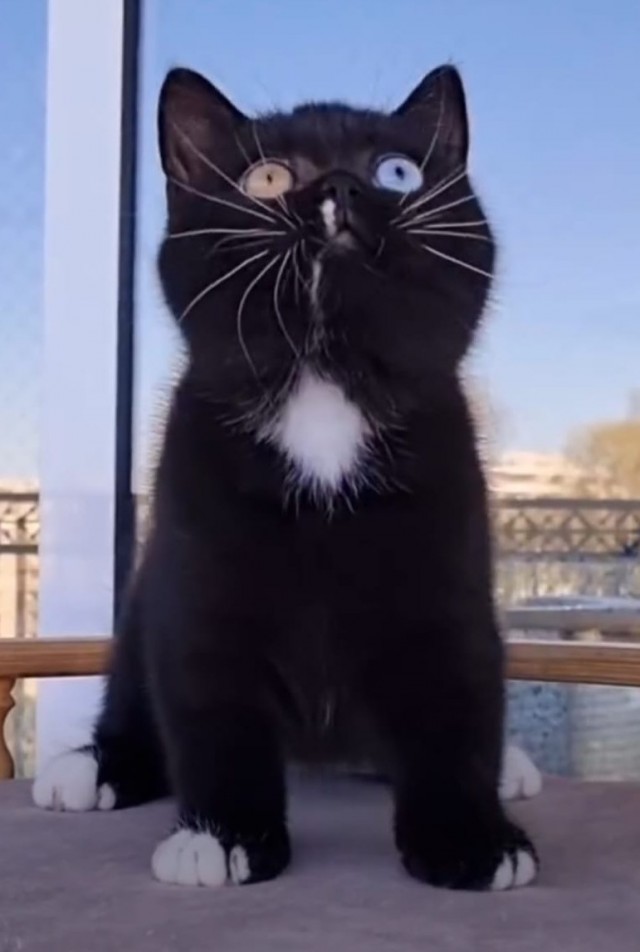 Которабство