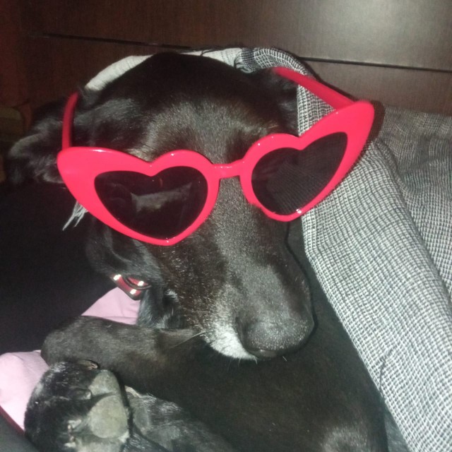 Собакочетверг