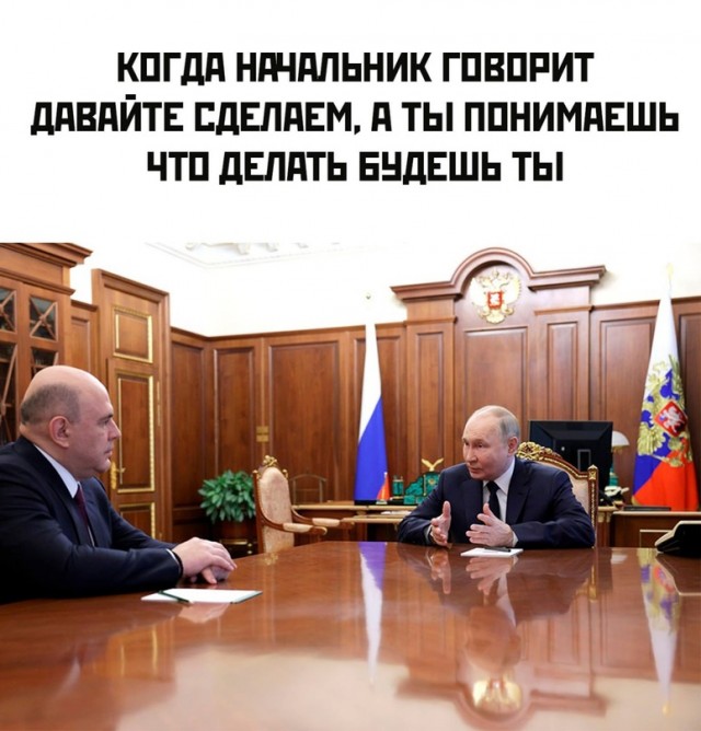 Весёлый полтишок 20.05.24