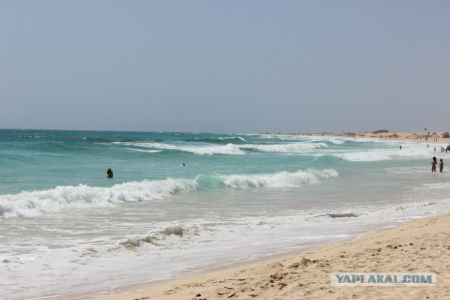 Хочу дачу на канарах!