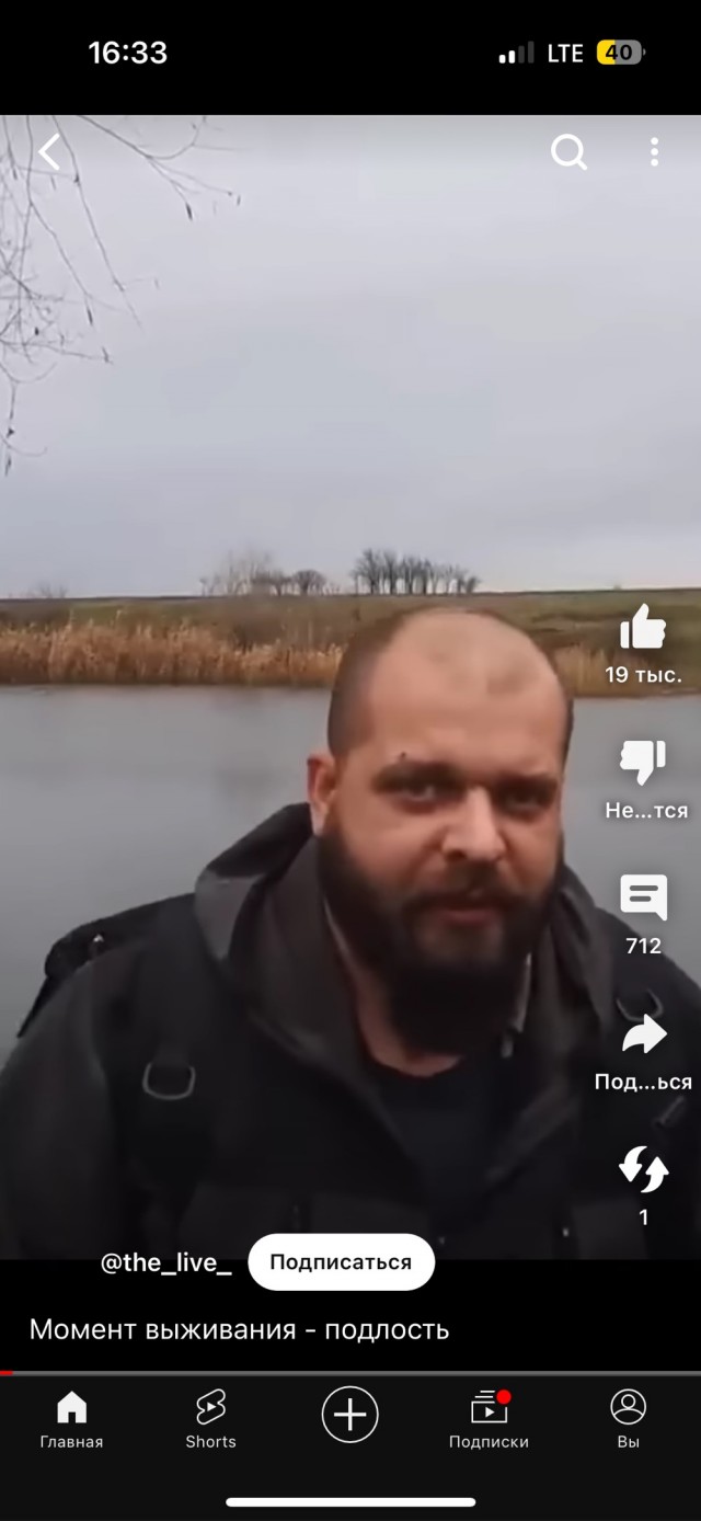 Познавательно про дельфинов
