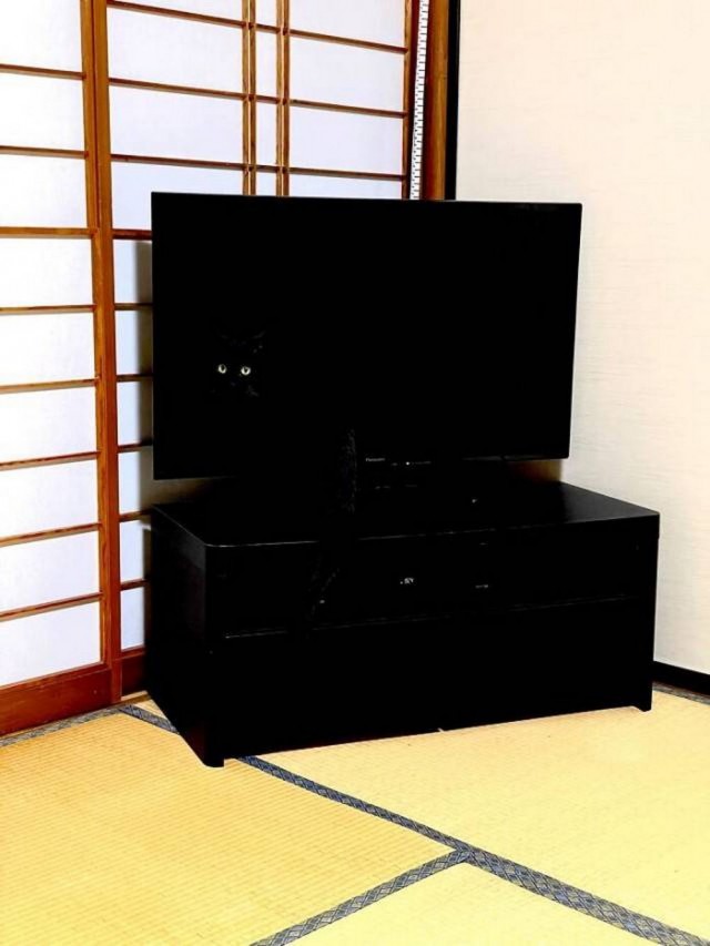 Картинки разные с надписями и без