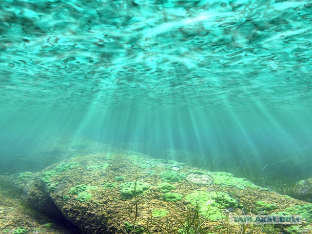 Иногда VK доставляет...