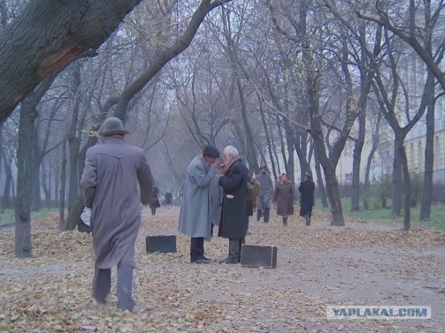 Холодное лето 53-го