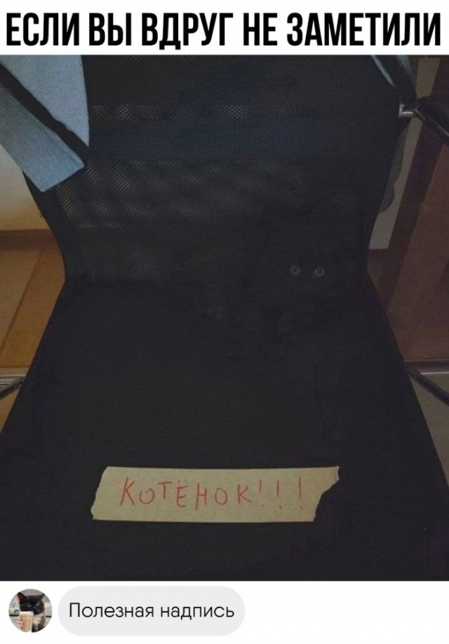 Так себе картинки 10.12.24