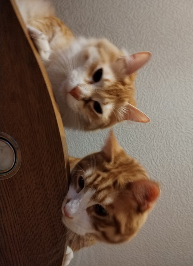 Игра