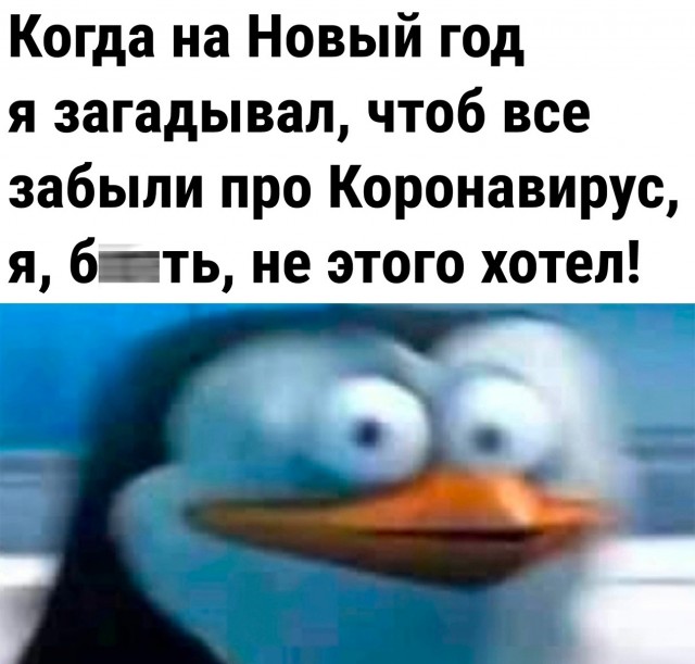 Так себе картинки   "Финал"