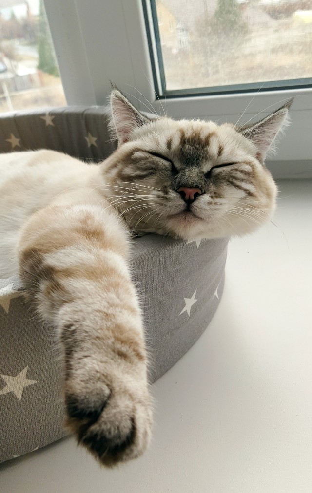 Косоглазый Смайлик