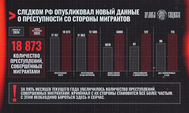 СК зафиксировал резкий рост мигрантской преступности в России