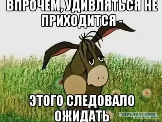 Доказал что не терпила