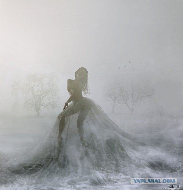 Парниковый эффект vs отопление: кто кого?