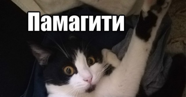 Свершилось.