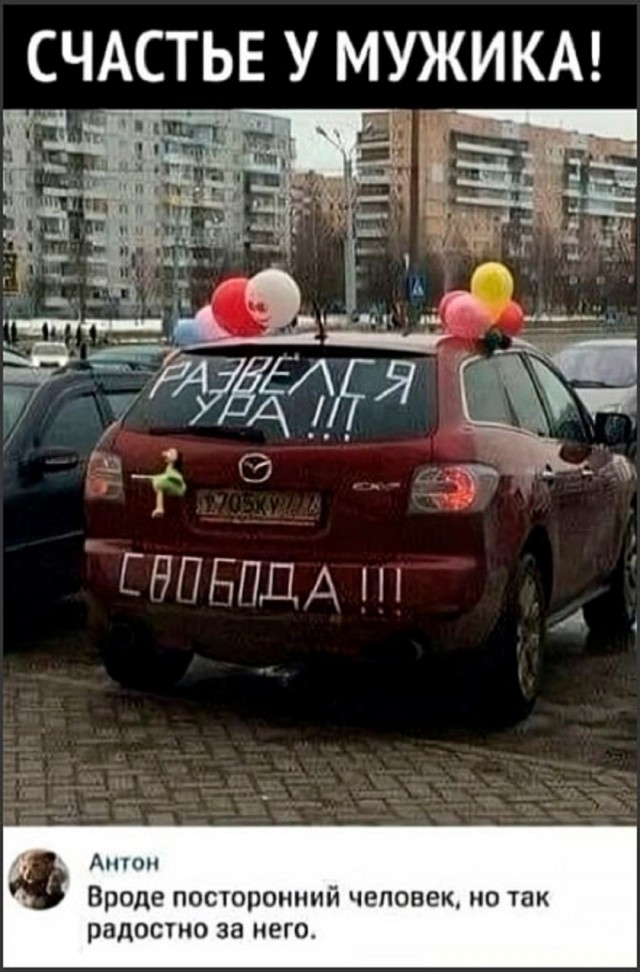 Так себе картинки 25.01.26