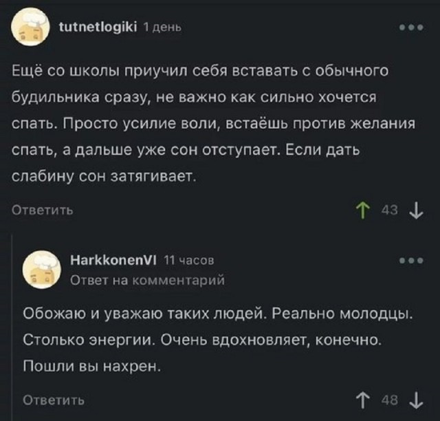 Так себе картинки 29.01.26