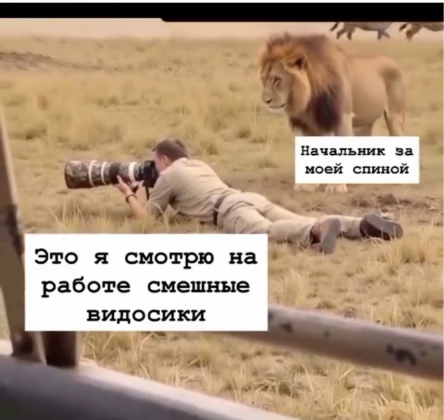 Четверговые картинки