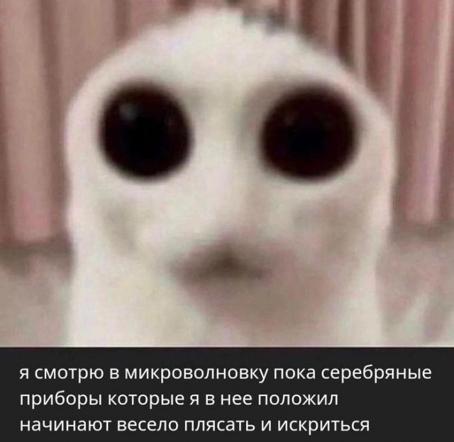 Картинки для деградации 145 (разной степени свежести)