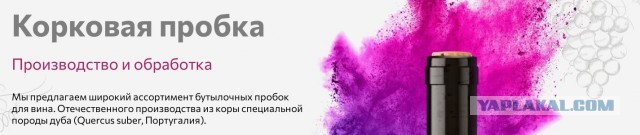 Почему после «Моста в Терабитию» всегда муторно? Разбор спустя 19 лет
