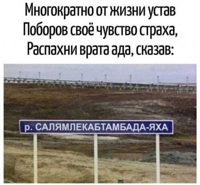 Веселые картинки и немного девушек (50 изображений)
