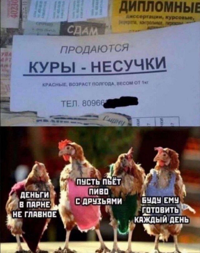 Картиночки, баянчики 09 апреля