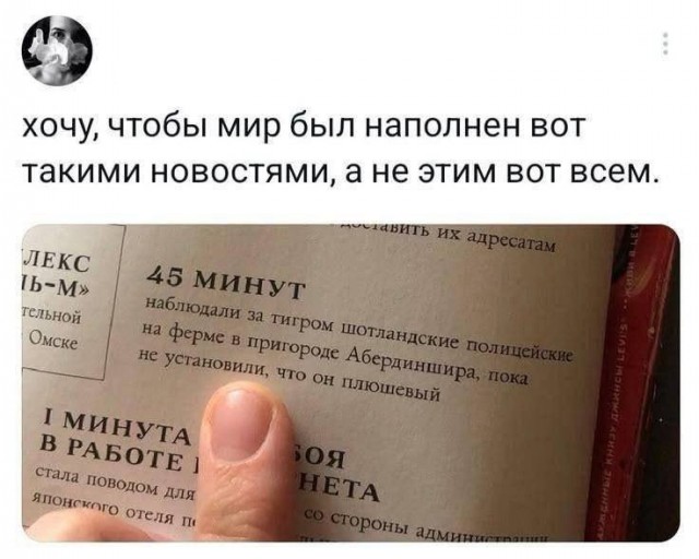 Воскресные картинки