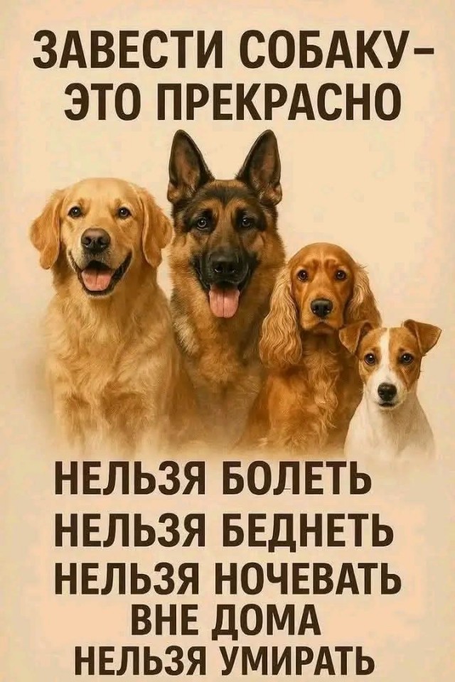 Папе подарили щенка