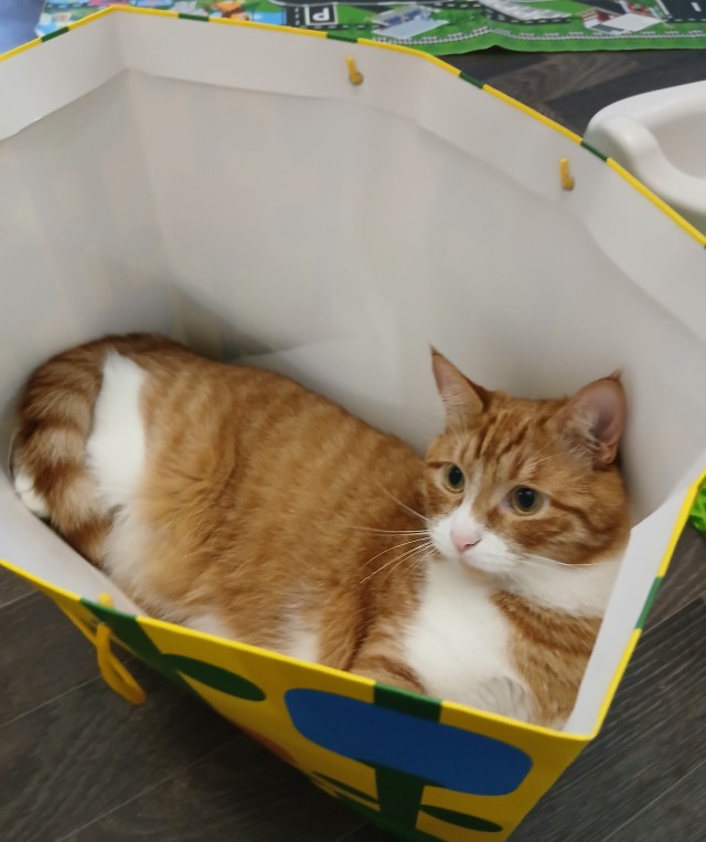 КАА