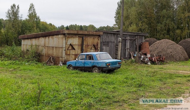 Экстримальная поездка за грибами.