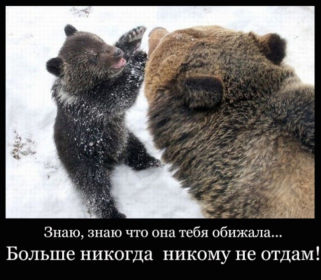 Пятничная картинка: привет из Крыма