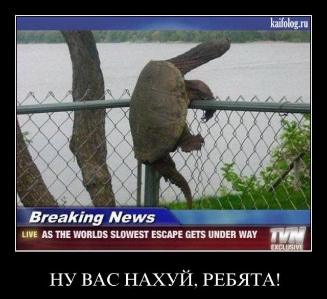 Фисташка закрытая попалась