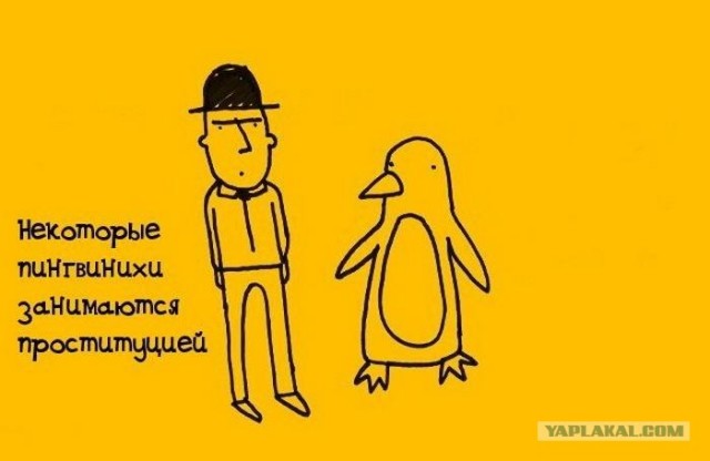 Занимательные факты в картинках